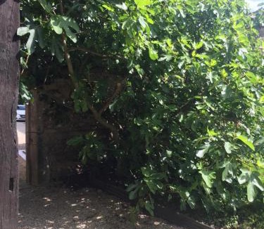 Viriat Bed & Breakfast | Le Moulin de Champagne
