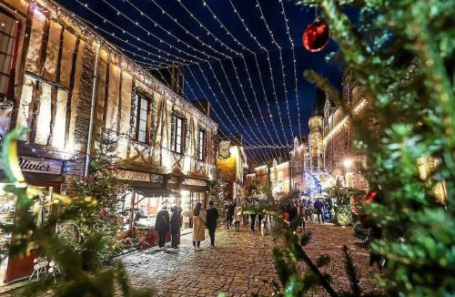 Pluherlin Apartment | Le Moulin de Gueuzon