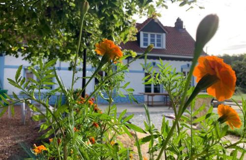 Cavron-Saint-Martin House | Le Moulin de la Planquette