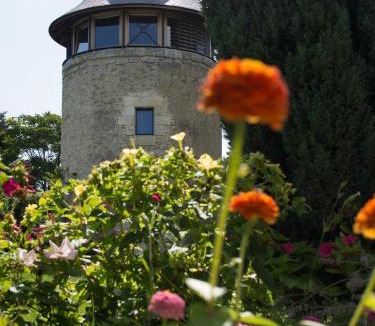 Margaux House | Le Moulin de Margaux