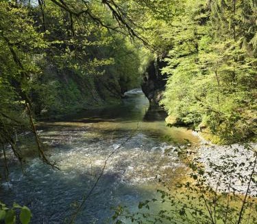 Alby-sur-Cheran Bed & Breakfast | Le Moulin de mes garçons
