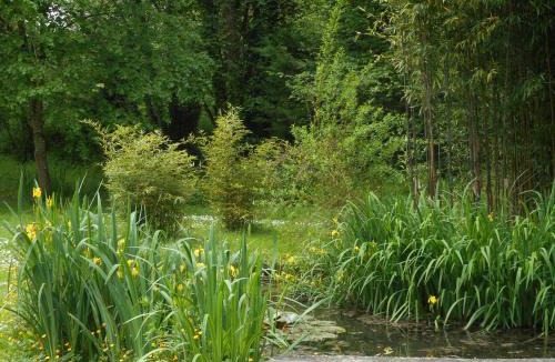 Montreuil-le-Henri Bed & Breakfast | Le Moulin de Monternault