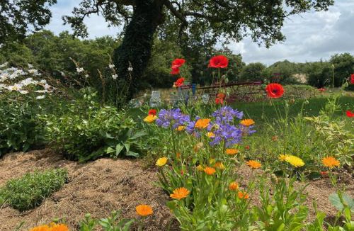 Pluvigner Bed & Breakfast | Le Moulin des hirondelles