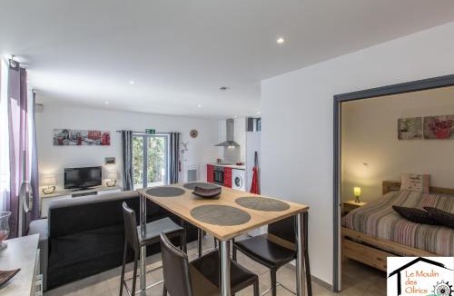 Sallanches Ski Chalet | Le Moulin des Olirics