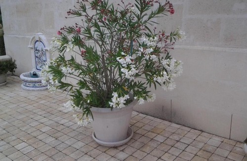 Pontoise-les-Noyon Bed & Breakfast | Le Moulin