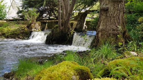 Saint-Etienne-de-Chigny Bed & Breakfast | Le Moulin Hodoux