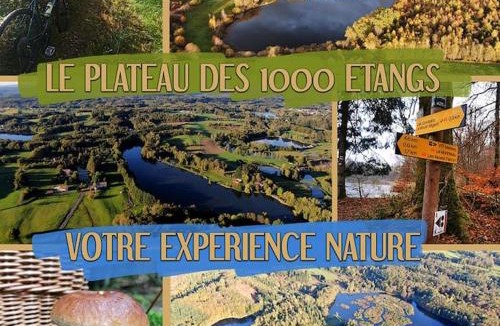 Travexin Ski Chalet | Le Nénuphar - Chalet avec terrasse