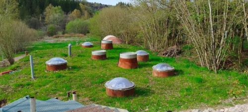Raon-aux-Bois Apartment | Le Nautilus