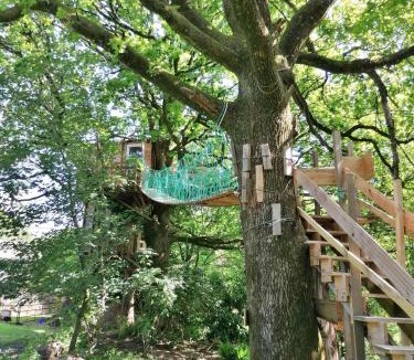 Saint-Thomas-de-Courceriers House | Le nid dans le chêne