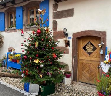 Hengwiller House | Le Nid de Cigognes