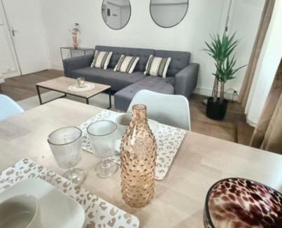 Centre Ancien Apartment | Le Nid De Demolombe