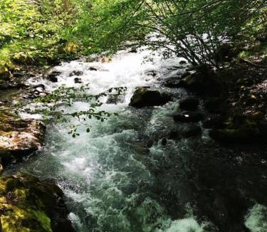 Ustou Ski Chalet | Le Nid de Laly