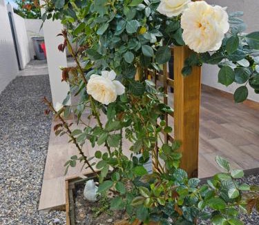 Villemoustaussou House | Le Nid de Moline 3 étoiles