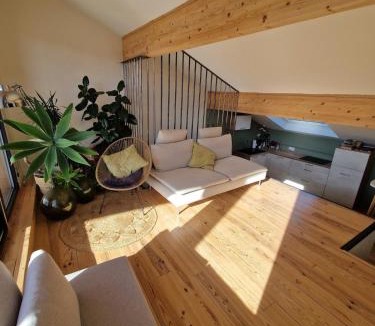 Le Puy-en-Velay Apartment | Le nid de Raphaël rooftop