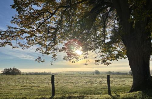 Relanges House | Le Nid des Moises, pavillon neuf