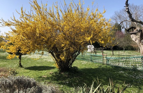 Lusigny-sur-Barse House | LE NID DOUILLET 2 km from the beach.