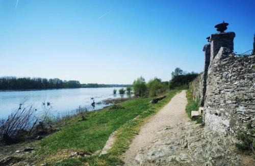 Sainte-Gemmes-sur-Loire Apartment | Le Nid du Chêne