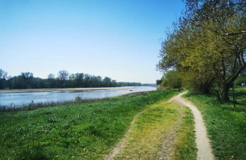 Sainte-Gemmes-sur-Loire Apartment | Le Nid du Chêne