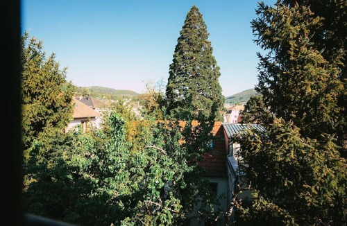 Guebwiller Apartment | Le Nid I Charming one-roomed flat