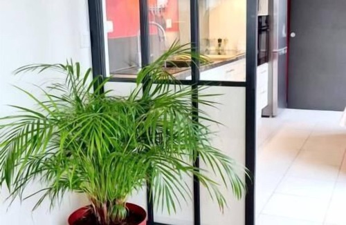 Pilotiere Apartment | Le Nid: modern rooftop overlooking the city