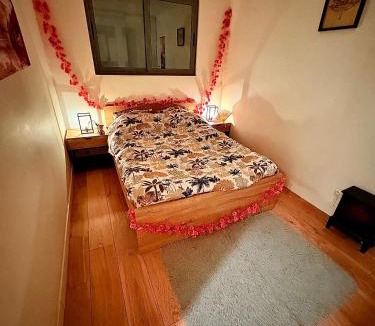 Royat Apartment | Le Nid Thermal - Wifi - Netflix