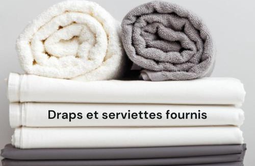 Villefranche-sur-Saone Apartment | Le Nid Urbain