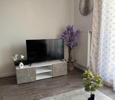 Villiers-le-Bel Apartment | Le Nid Urbain