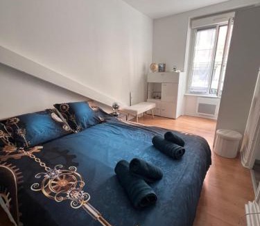 Epernay Apartment | Le Noé : hyper centre d’Epernay