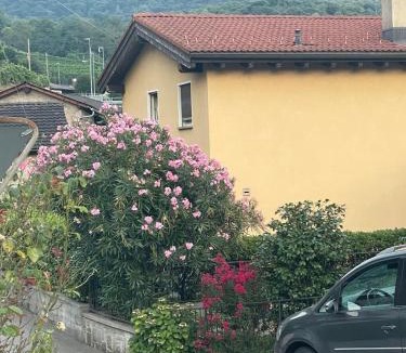 Monteceneri House | Le palme