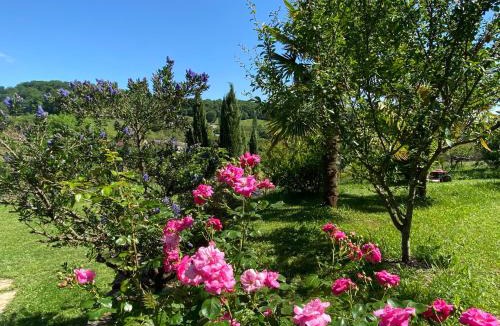 Collonges-la-Rouge Bed & Breakfast | Le palmier d'Alice