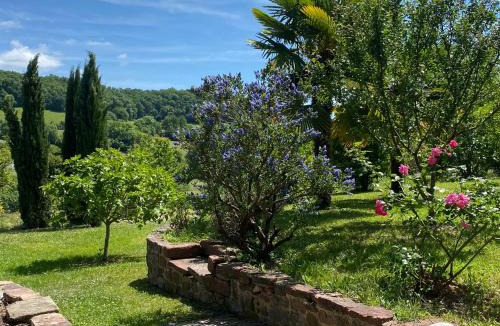 Collonges-la-Rouge Bed & Breakfast | Le palmier d'Alice