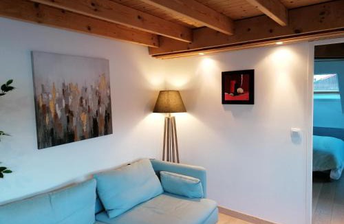 Voiron Apartment | LE PANORAMA