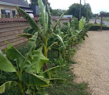 Fressies Bed & Breakfast | Le Paradis