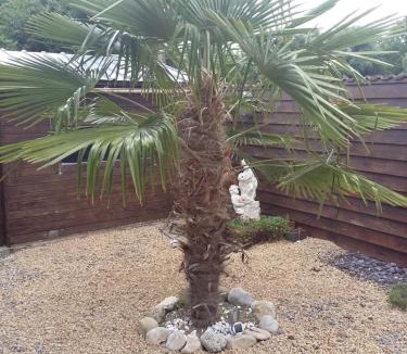 Fressies Bed & Breakfast | Le Paradis