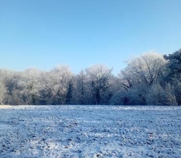 Villeneuve-sous-Dammartin Bed & Breakfast | Le parc d'eden