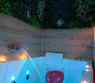 Saint-Christophe de la Foret Apartment | Le Parc, logement de charme avec SPA privatif - LE HAVRE