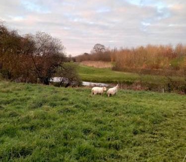 Couvains House | Le passage des fées
