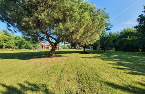 Prayssas House | Le Patio du Quey