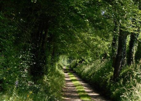 Coeur du Perche Bed & Breakfast | Le Pautonier