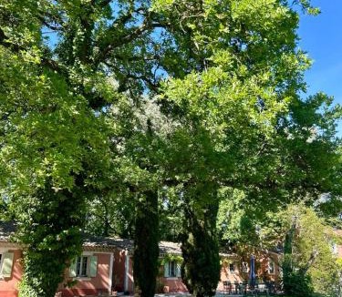 Vedene Bed & Breakfast | Le Pavillon Vert - B&B