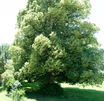 Rouffignac Apartment | Le Perchoir