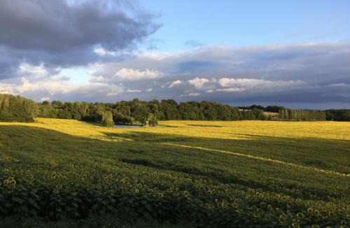 Castex-d'Armagnac Apartment | Le Petit Basket