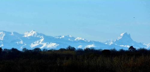 Castex-d'Armagnac Apartment | Le Petit Basket
