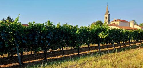 Mazion Cabin | Le Petit Bergeron