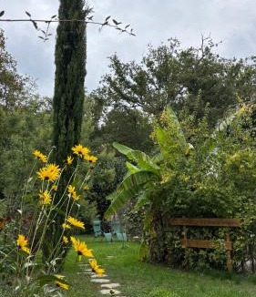 Montlouis-sur-Loire House | Le Petit Bois d'Amour