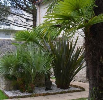 Saint-Florent Apartment | Le Petit bois