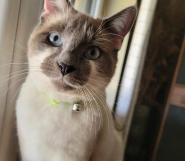 Sergeac Bed & Breakfast | Le Petit Bonheur