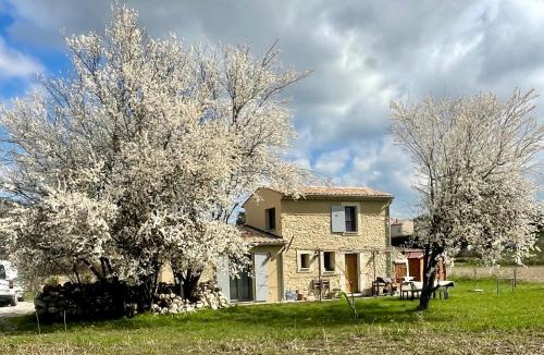 Mane Villa | Le Petit Cabanon Provençal