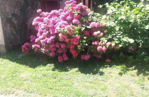 Dompierre-les-Eglises Apartment | Le petit champagnat