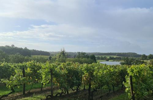 Saint-Maigrin Bed & Breakfast | LE petit CHABO